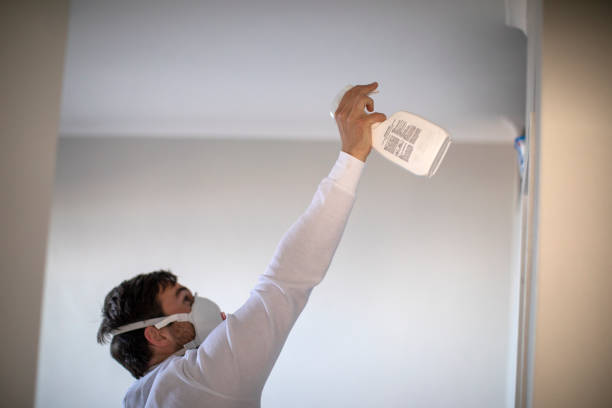 Best Professional Mold Removal  in White Plains, NC