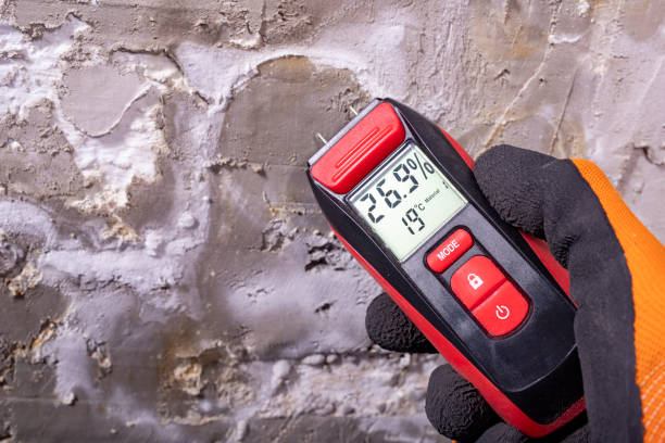 Best Crawl Space Mold Removal  in White Plains, NC