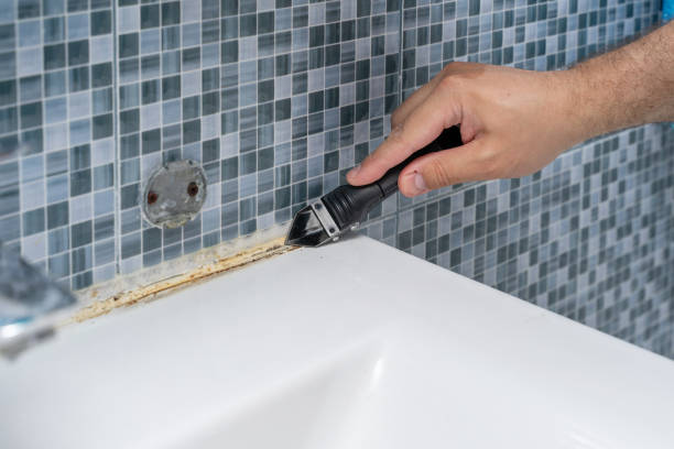 Best Home Mold Removal  in White Plains, NC